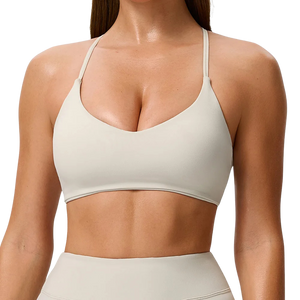 Sexy Fitness Tops Yoga Bras Race Back Sports Bras Nylon Top Women Bra Breathable Underwear for Women Gym Bra Yoga Bras Summer