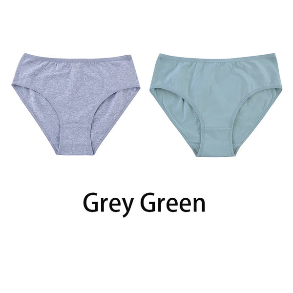 2PCS/Set Women Sexy Cotton Panties Big Size Comfort Underwear Female Plus Size Underpants Girls Soft Briefs Lingerie 8815