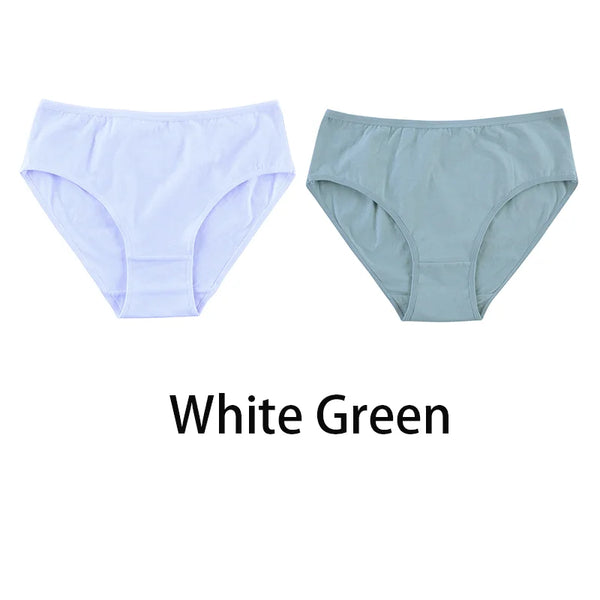 2PCS/Set Women Sexy Cotton Panties Big Size Comfort Underwear Female Plus Size Underpants Girls Soft Briefs Lingerie 8815