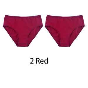 2PCS/Set Women Sexy Cotton Panties Big Size Comfort Underwear Female Plus Size Underpants Girls Soft Briefs Lingerie 8815