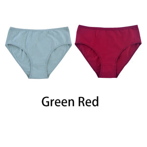 2PCS/Set Women Sexy Cotton Panties Big Size Comfort Underwear Female Plus Size Underpants Girls Soft Briefs Lingerie 8815