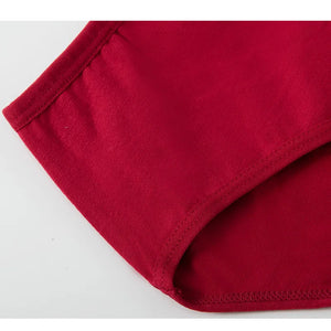 2PCS/Set Women Sexy Cotton Panties Big Size Comfort Underwear Female Plus Size Underpants Girls Soft Briefs Lingerie 8815