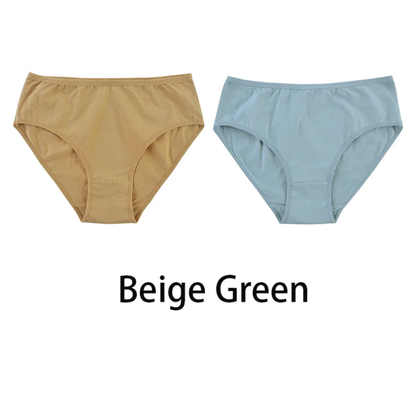 2PCS/Set Women Sexy Cotton Panties Big Size Comfort Underwear Female Plus Size Underpants Girls Soft Briefs Lingerie 8815