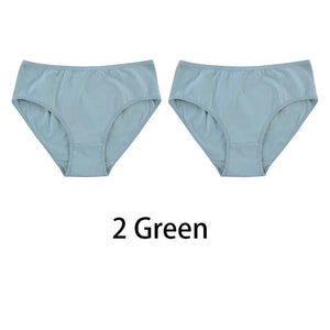 2PCS/Set Women Sexy Cotton Panties Big Size Comfort Underwear Female Plus Size Underpants Girls Soft Briefs Lingerie 8815