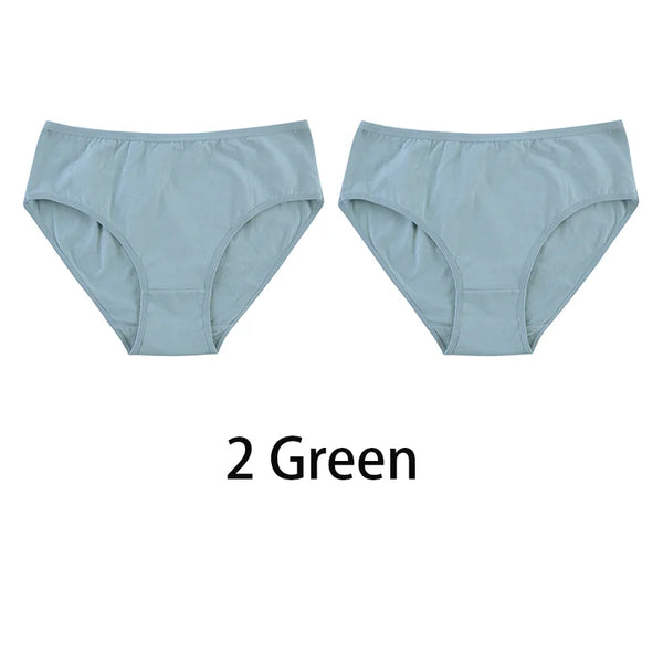 2PCS/Set Women Sexy Cotton Panties Big Size Comfort Underwear Female Plus Size Underpants Girls Soft Briefs Lingerie 8815