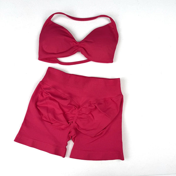 Seamless 2 Pieces Strappy Yoga Halter Bras Sets Scrunch Butt Sports Shorts Quick Dry Backless Gym Crop Tops with Pad Push Up Set