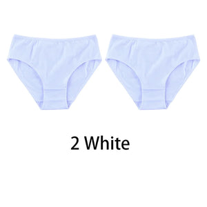 2PCS/Set Women Sexy Cotton Panties Big Size Comfort Underwear Female Plus Size Underpants Girls Soft Briefs Lingerie 8815