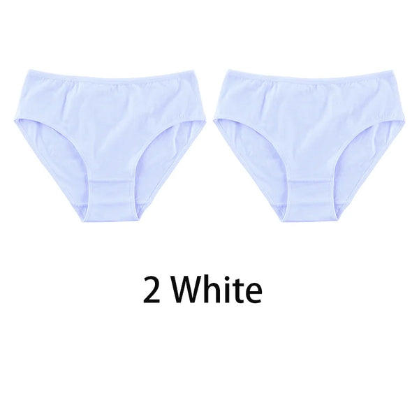 2PCS/Set Women Sexy Cotton Panties Big Size Comfort Underwear Female Plus Size Underpants Girls Soft Briefs Lingerie 8815