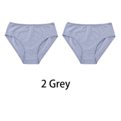 2PCS/Set Women Sexy Cotton Panties Big Size Comfort Underwear Female Plus Size Underpants Girls Soft Briefs Lingerie 8815