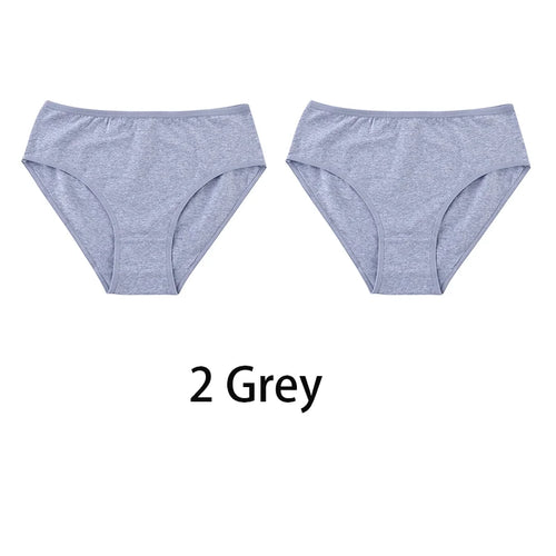 2PCS/Set Women Sexy Cotton Panties Big Size Comfort Underwear Female Plus Size Underpants Girls Soft Briefs Lingerie 8815