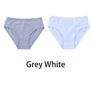 2PCS/Set Women Sexy Cotton Panties Big Size Comfort Underwear Female Plus Size Underpants Girls Soft Briefs Lingerie 8815