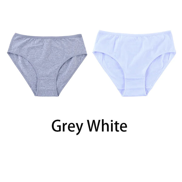 2PCS/Set Women Sexy Cotton Panties Big Size Comfort Underwear Female Plus Size Underpants Girls Soft Briefs Lingerie 8815