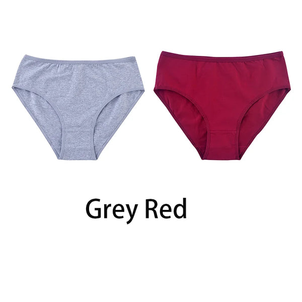 2PCS/Set Women Sexy Cotton Panties Big Size Comfort Underwear Female Plus Size Underpants Girls Soft Briefs Lingerie 8815